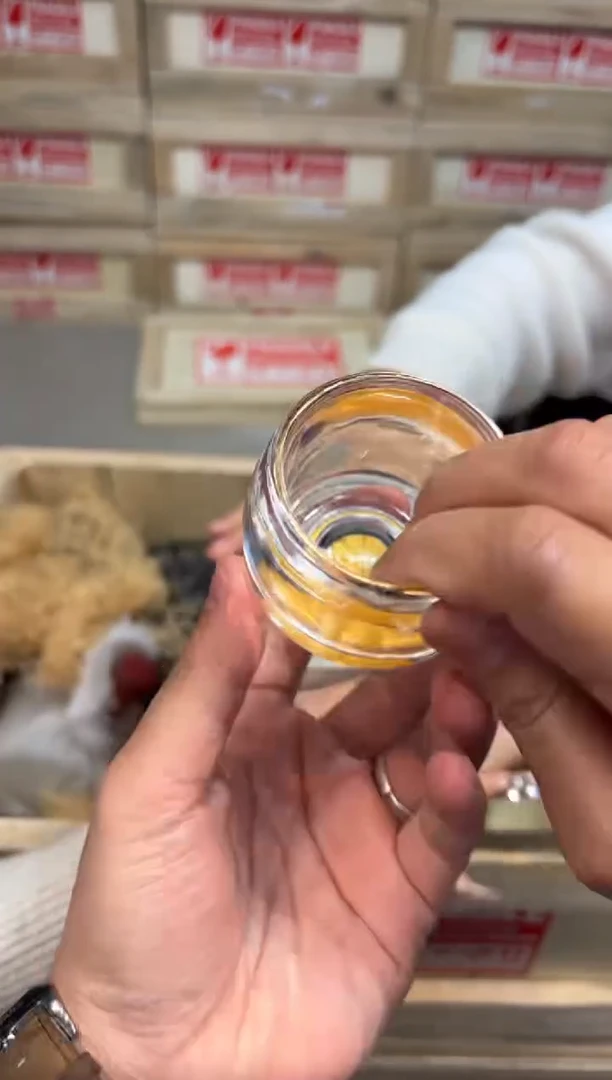 瓷片@@@@@@@@@@@@@@1862