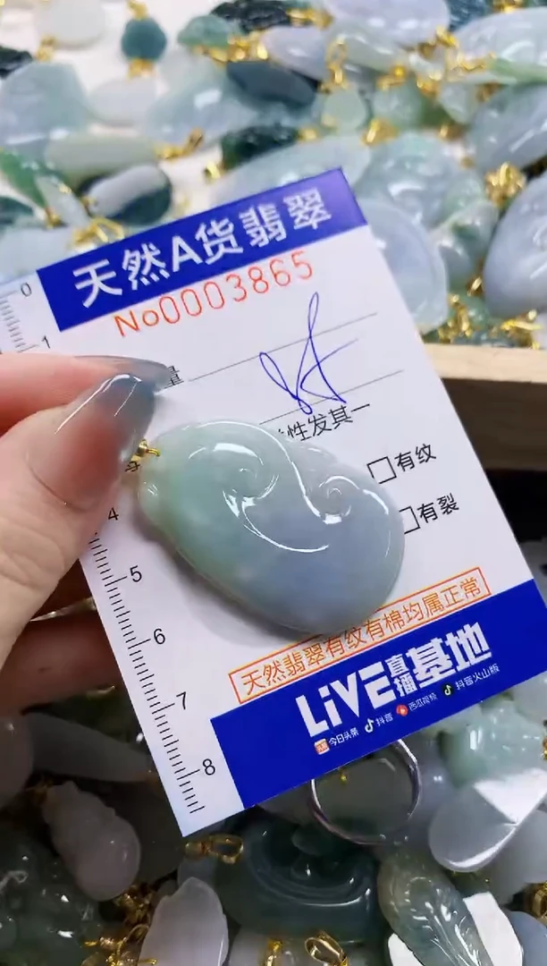 颈饰未镶嵌翡翠纯天然a货翡翠