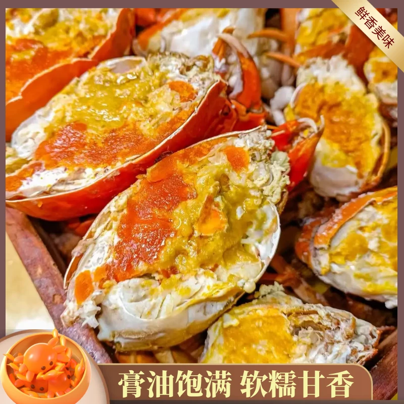 （活蟹）正宗广东台山特产青蟹黄油羔膏蟹蟹肉细嫩鲜带绳