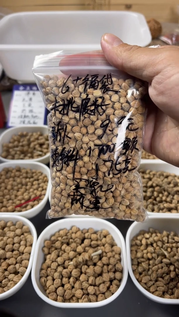 吊坠柏香籽/百香籽故****.合上柏香散籽故事散于盛夏.