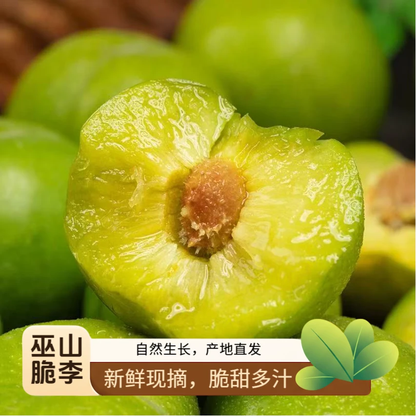 【云贵川渝】重庆巫山脆李新鲜脱骨核小肉厚