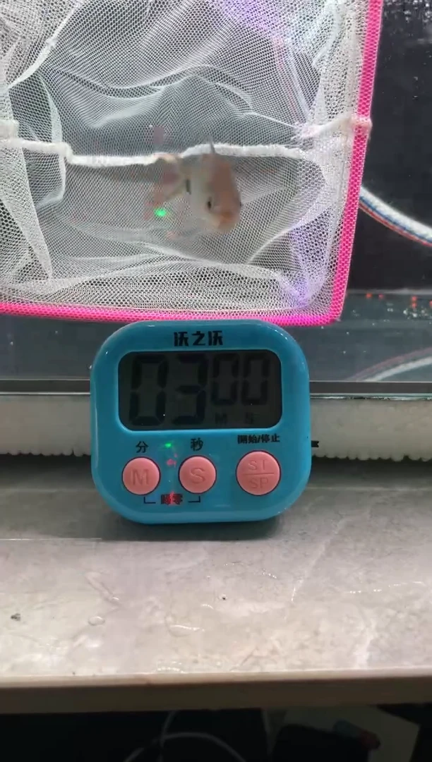 道金系列0元起拍，包邮包损，每次加价5元，3分钟竞拍时间，价高者得