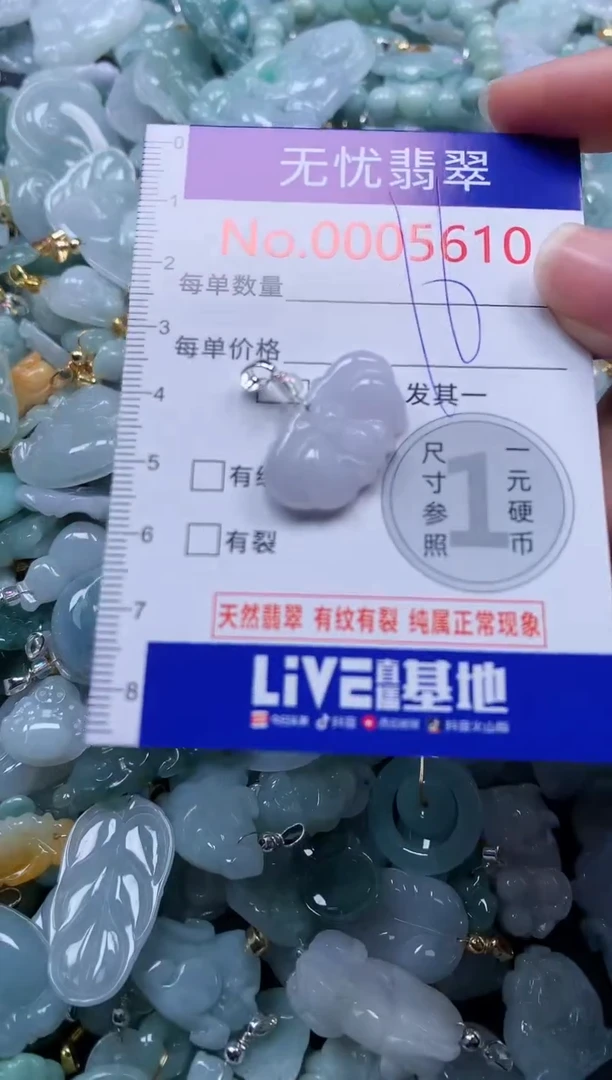 颈饰未镶嵌翡翠5610
