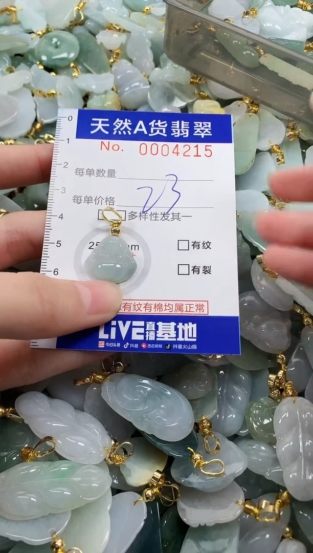 颈饰未镶嵌翡翠天然a货翡翠