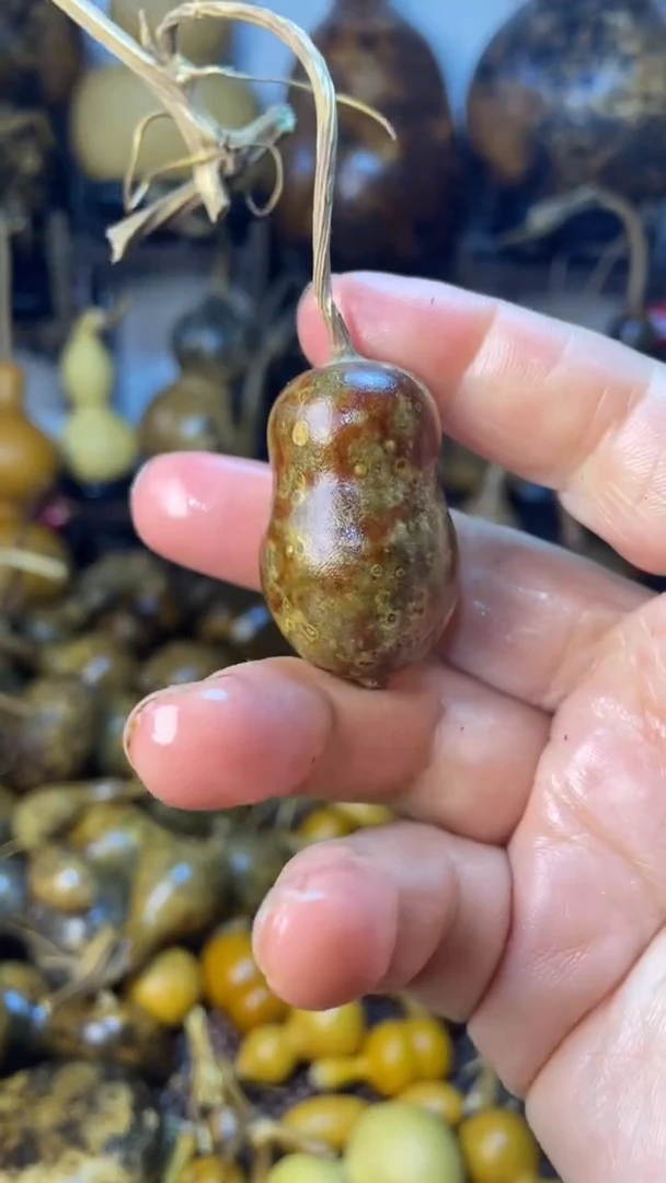 【闪购商品】葫芦葫芦葫芦葫芦