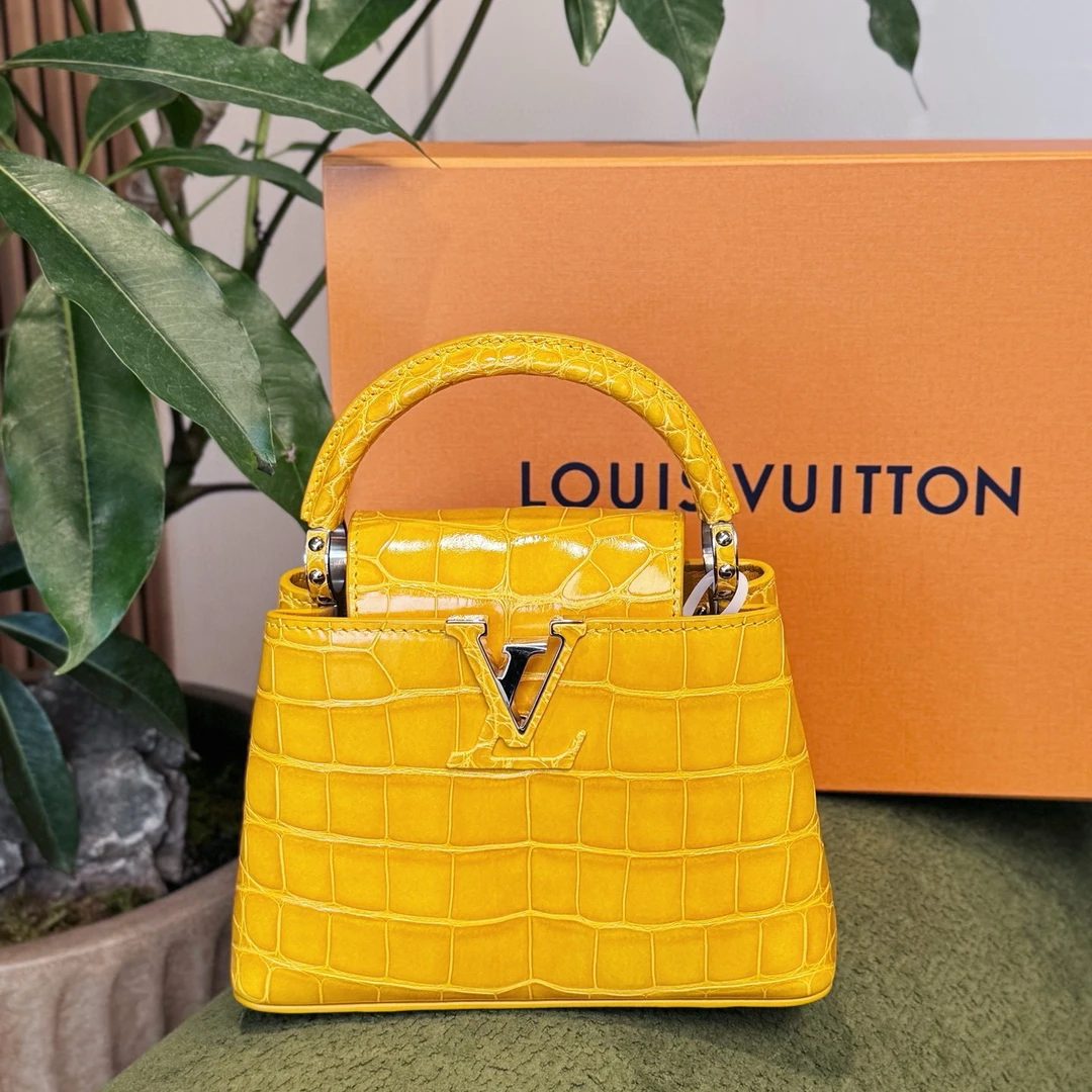 99新 LouisVuitton/路易威登 老佛爷 mini卡普辛稀有皮手拿包