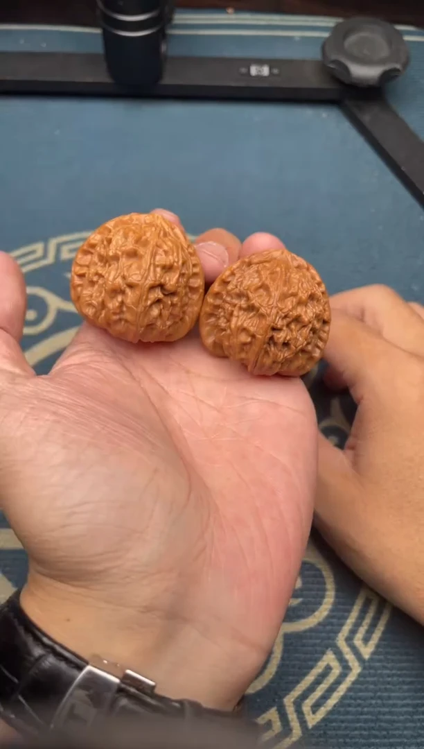 文玩核桃吊坠白狮子全品39