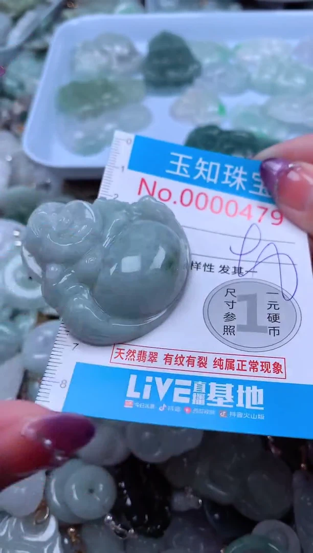 翡翠未镶嵌颈饰479