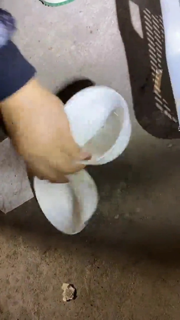 B203景德镇高端瓷器