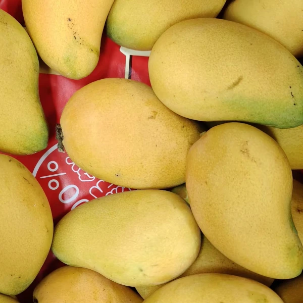 【热销】精品小台芒500g