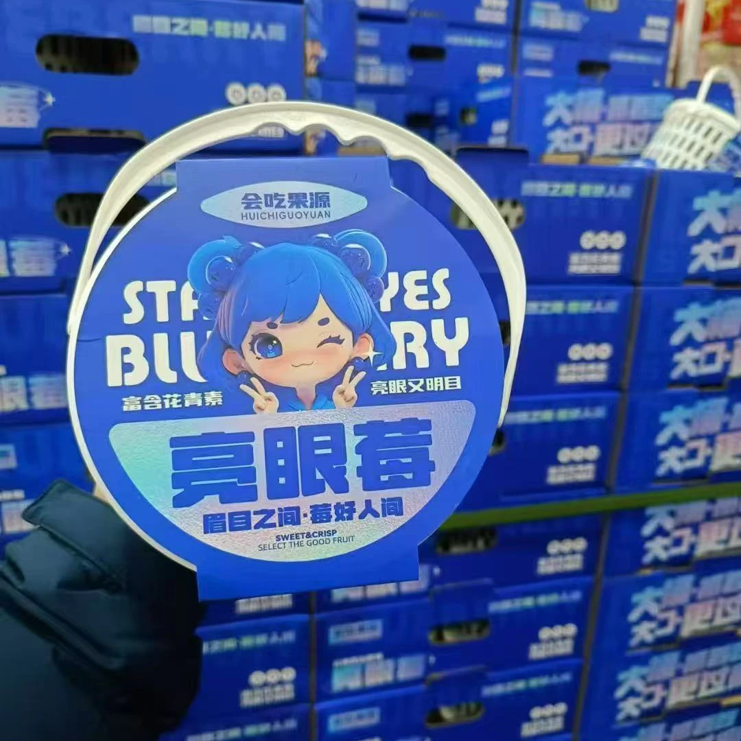 云南蓝莓，亮眼莓蓝莓15mm+一桶（一斤左右）云南省