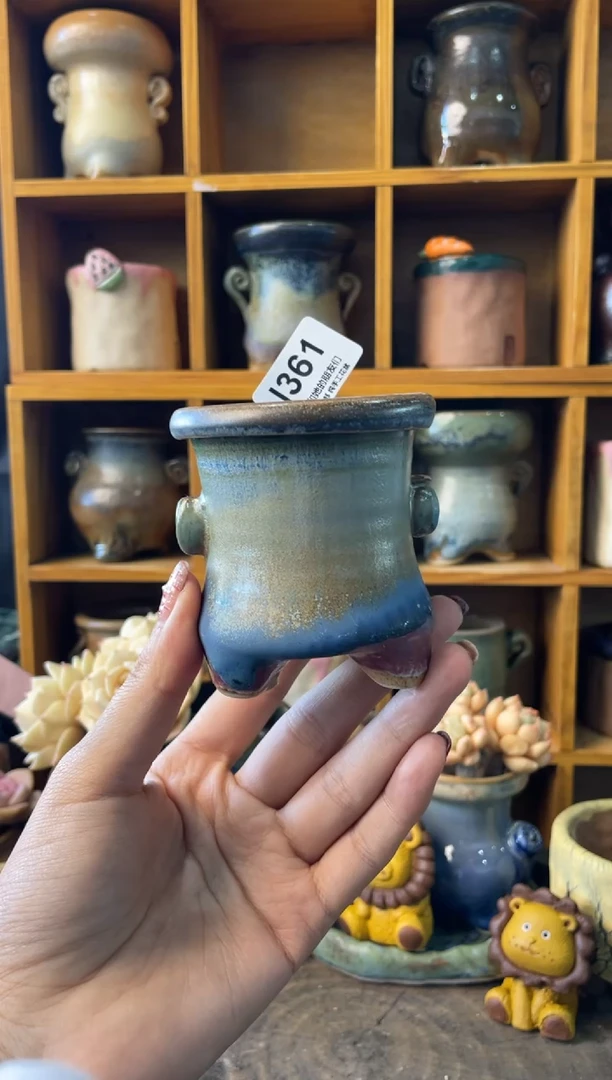 361内口5【多肉花盆多肉盆】