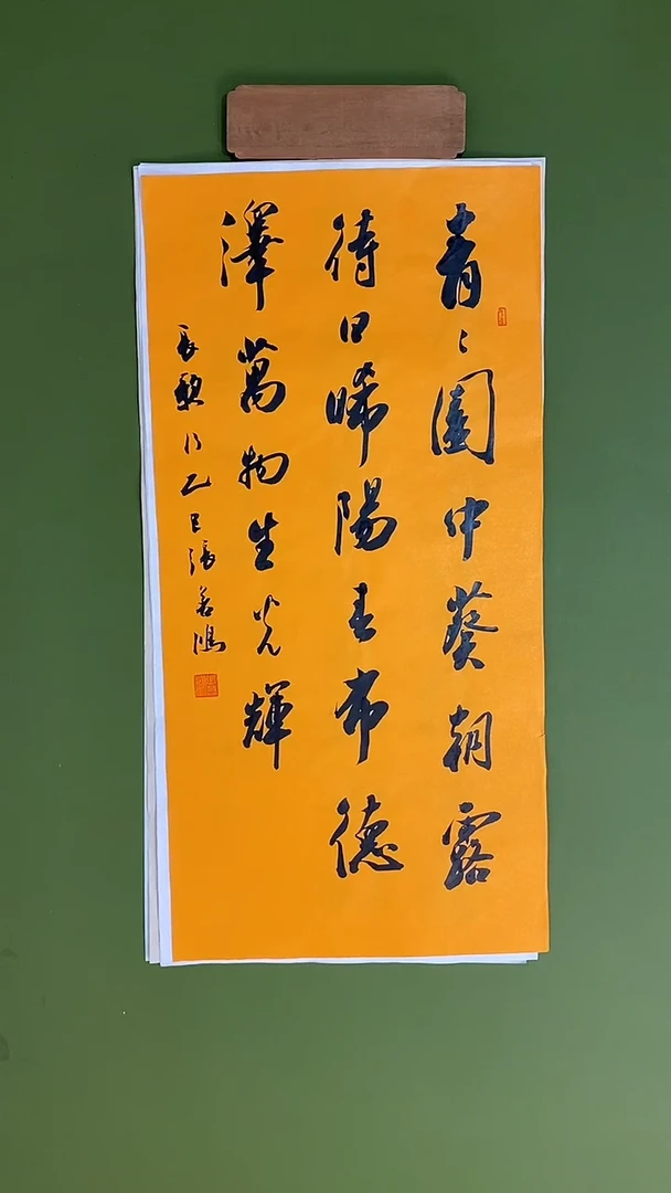 书法书法 张若鸿 尺寸69cm*34cm
