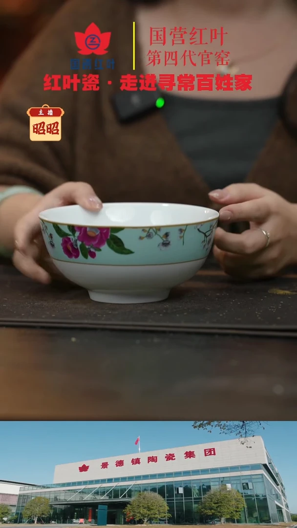 陶瓷4个微瑕春意盎然6英寸面碗