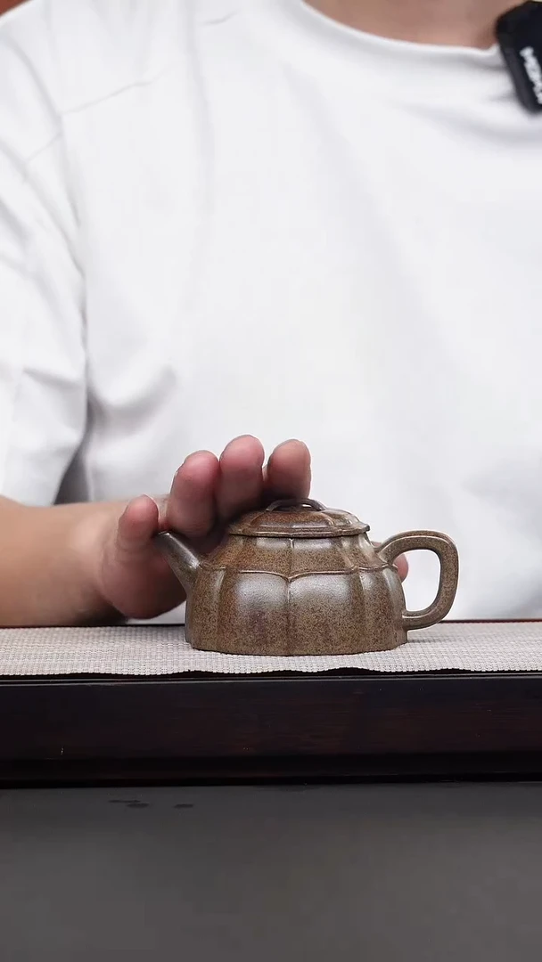 茶壶紫砂韩惠琴·柴烧锦囊海棠