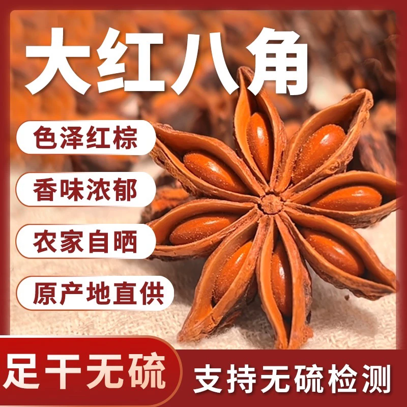 广西老树大红八角卤肉炖肉增香辅料
