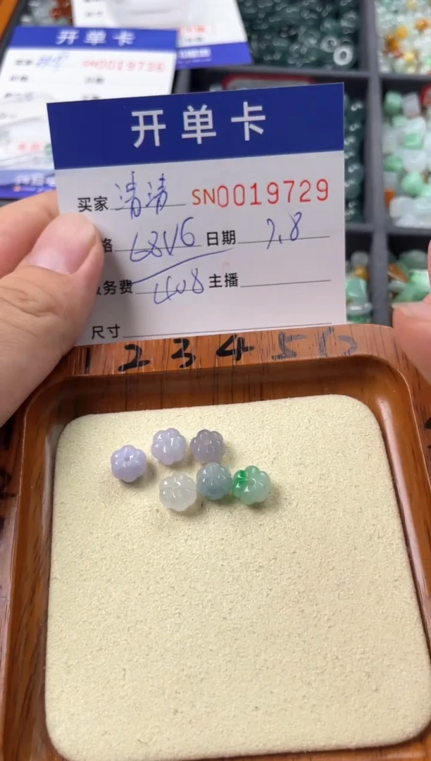 翡翠未镶嵌颈饰清****u00019729
