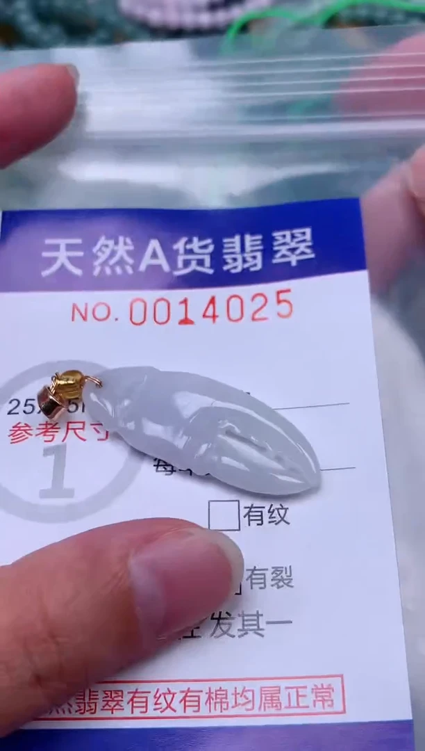 吊坠(赠链)未镶嵌翡翠1