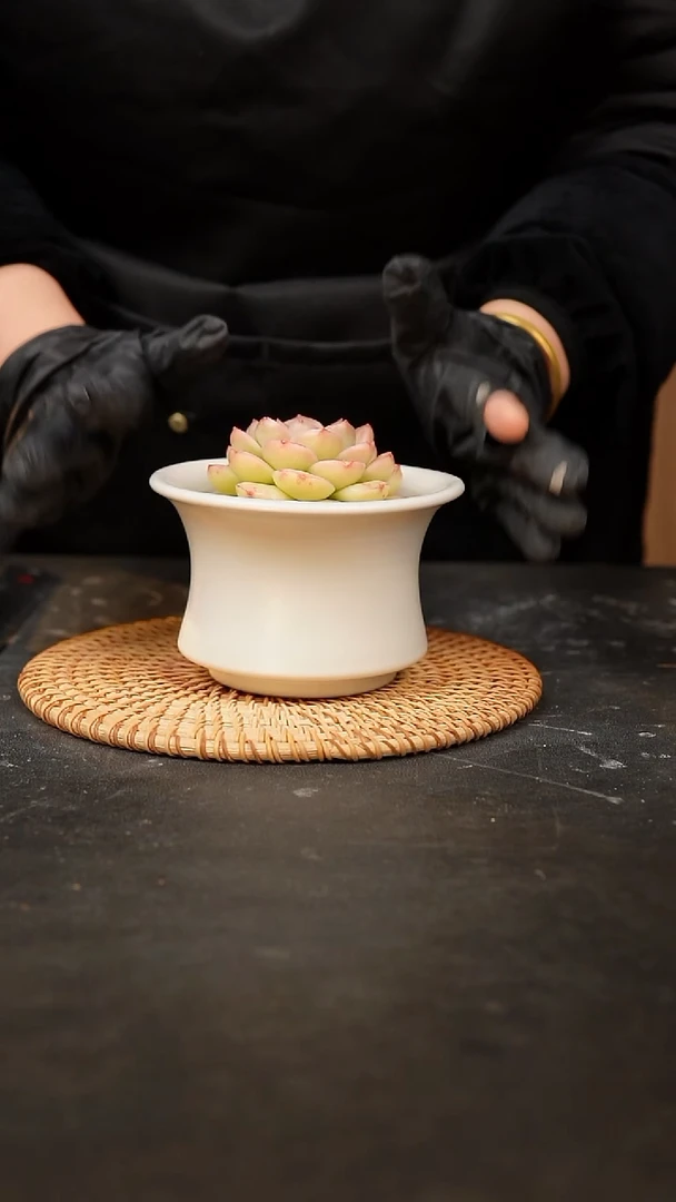 【闪购商品】瓷片泥泥手工花盆