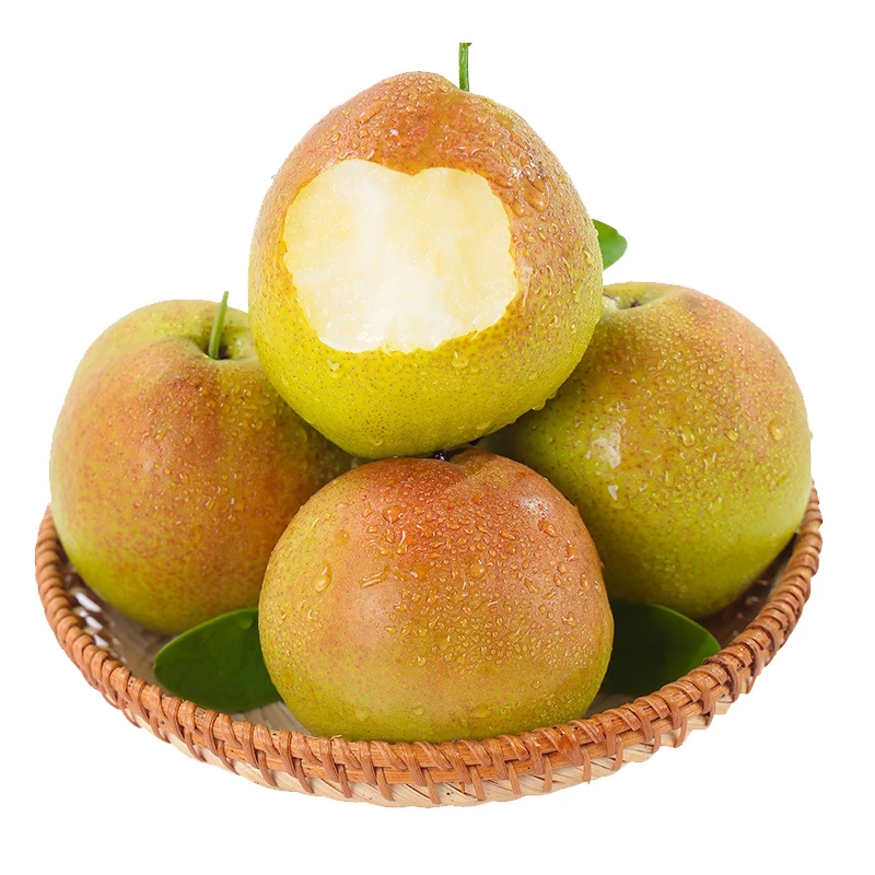 丹霞红梨山西运城头茬红酥梨脆甜爆汁无渣新鲜采摘