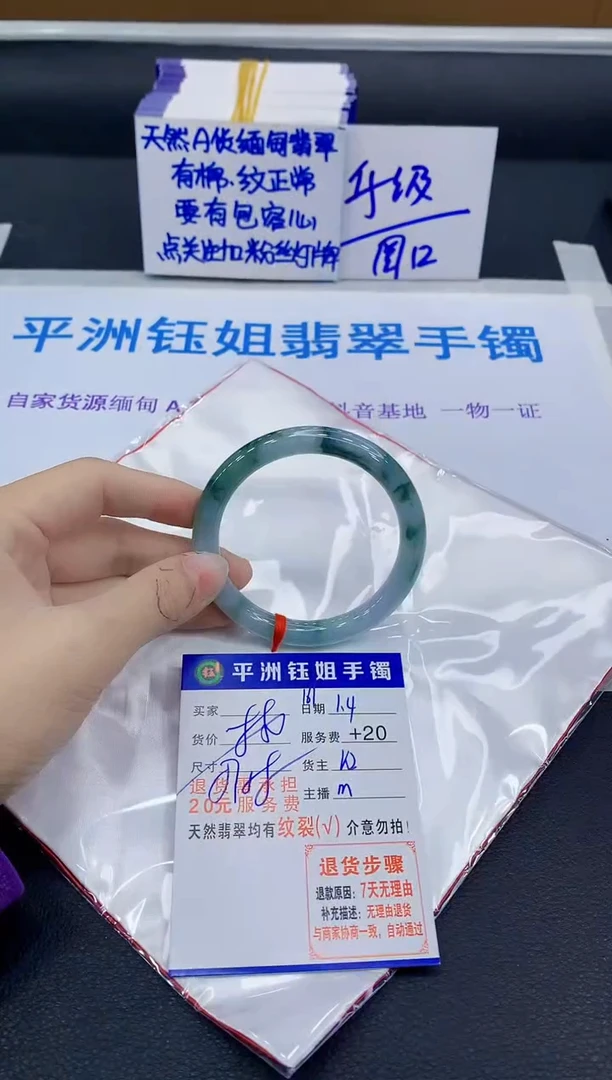 未镶嵌手镯翡翠11111