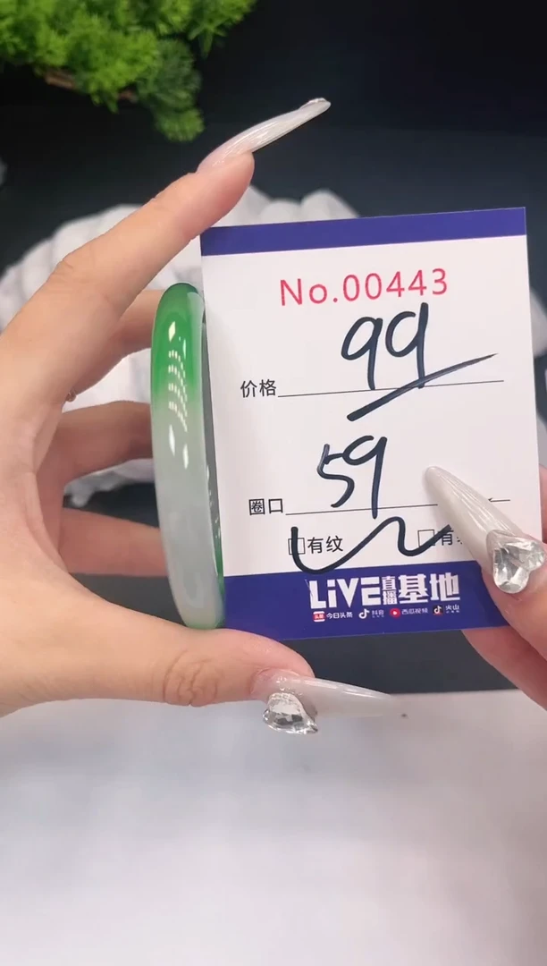 未镶嵌手镯翡翠443