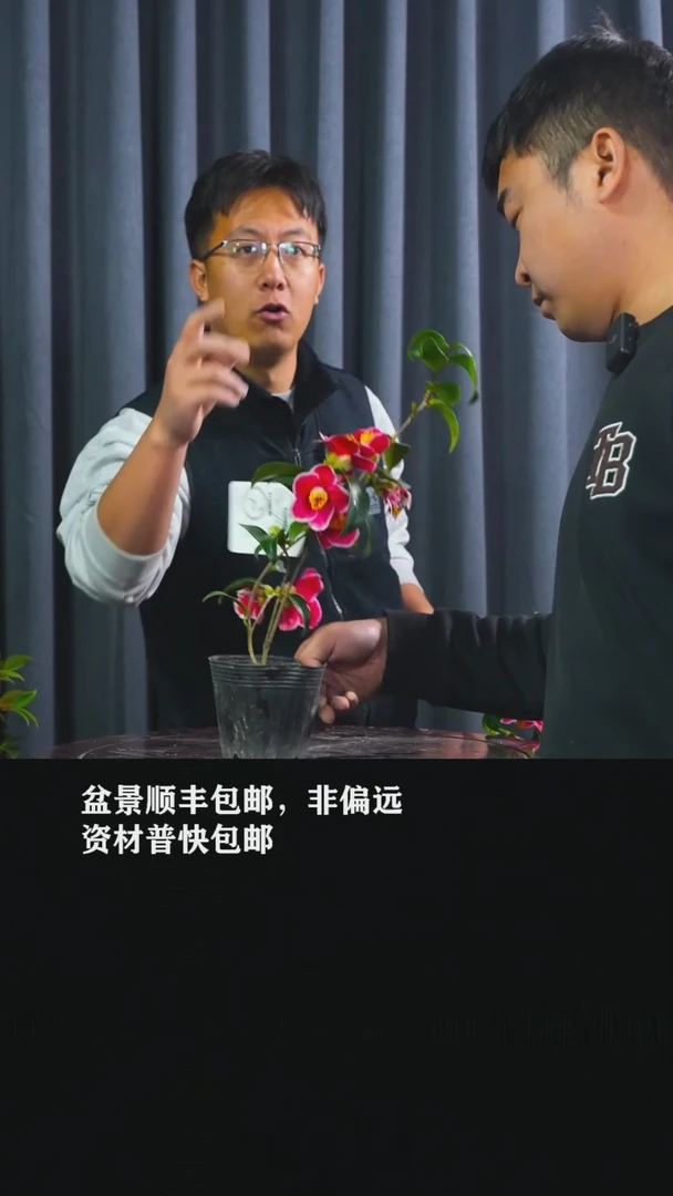 【闪购商品】玉之浦-BB66