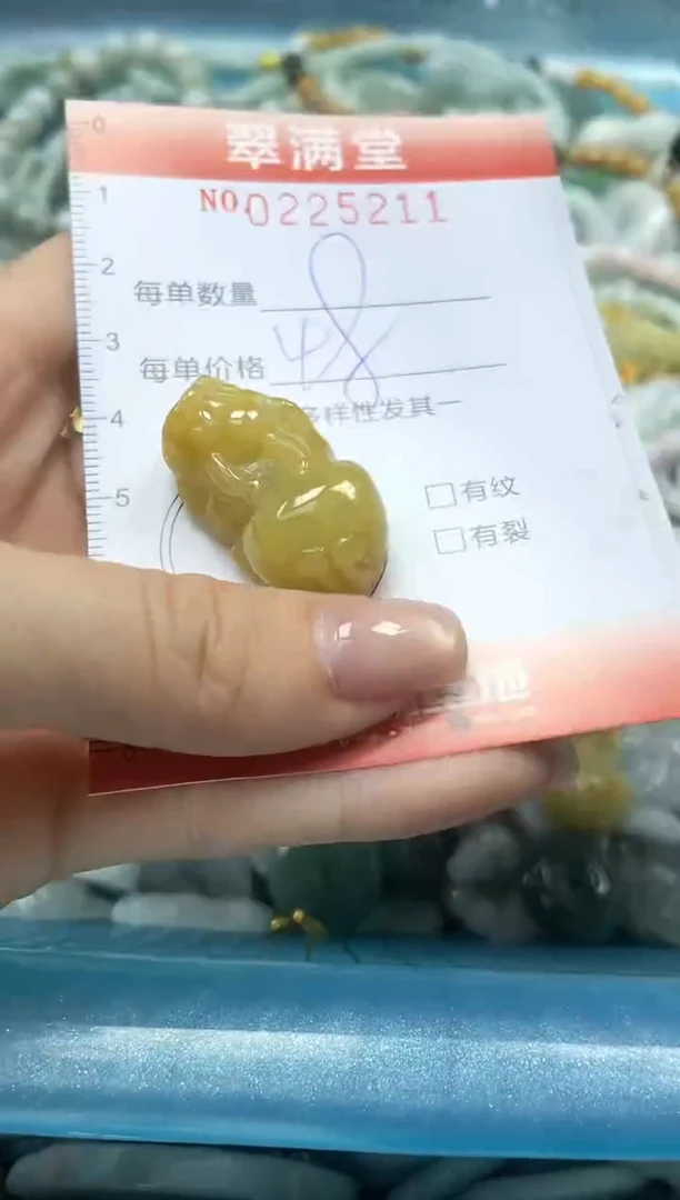 颈饰未镶嵌翡翠闪购0225211