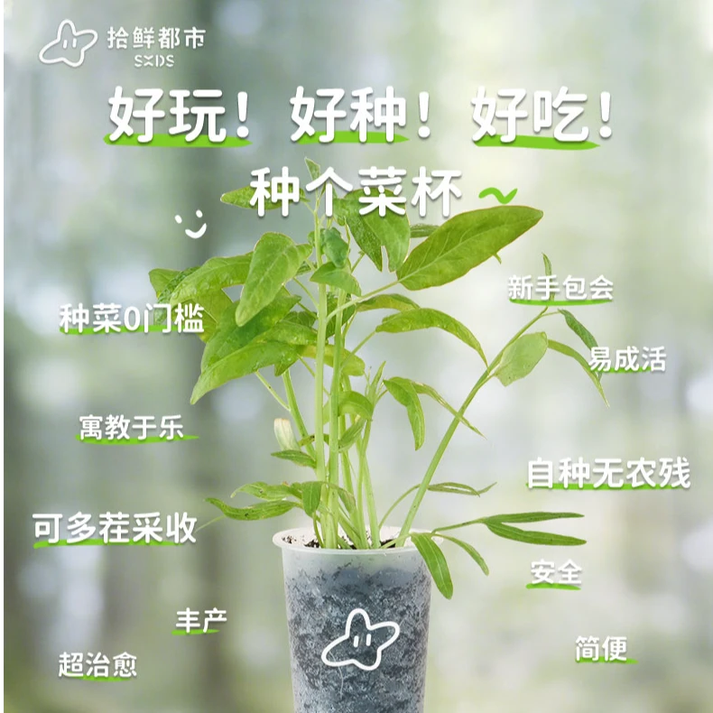 拾鲜都市 蔬菜种植杯 开盖浇水好种