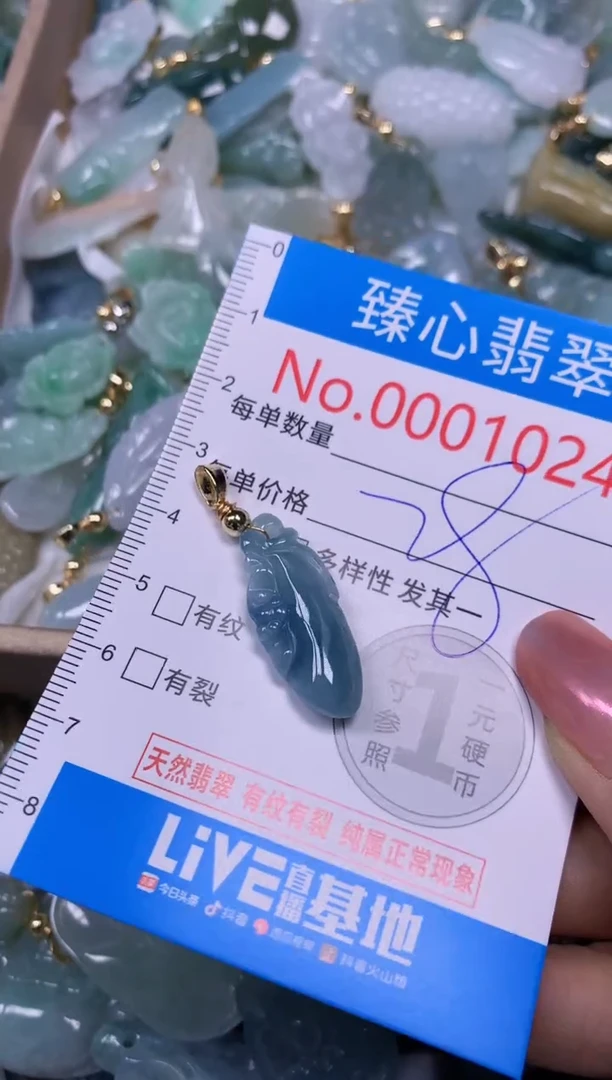 【闪购商品】翡翠颈饰未镶嵌含绳0001024