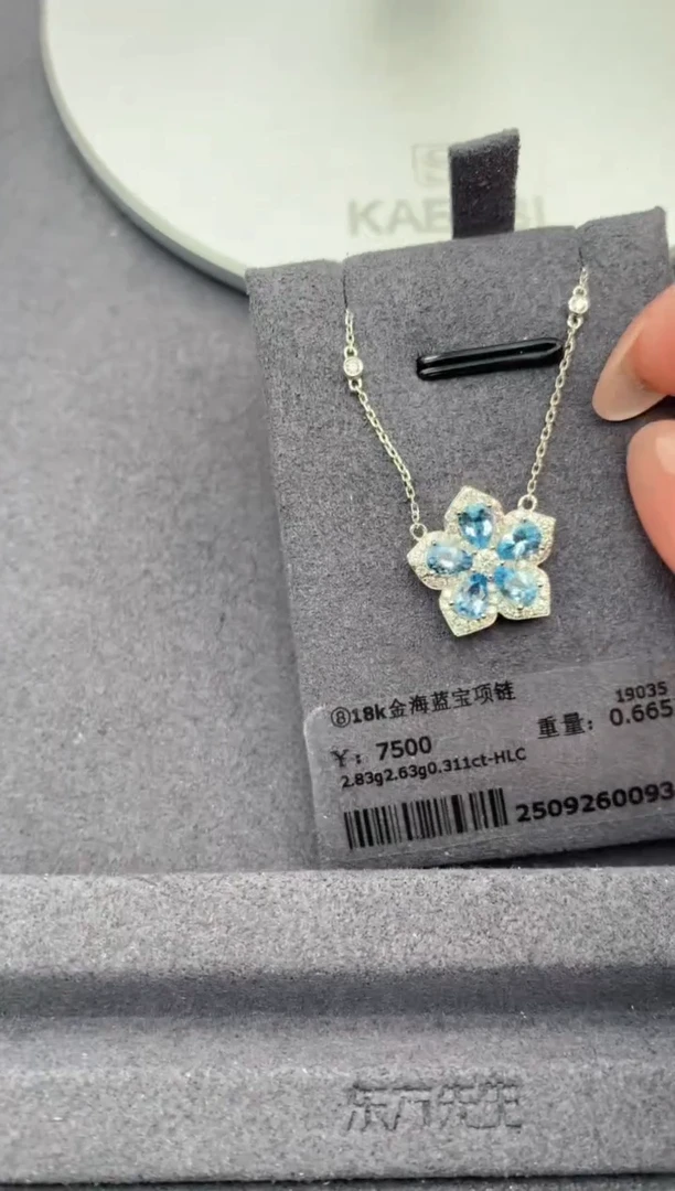 18K金镶嵌颈饰海蓝宝石0.66ct海蓝宝   定制    FD