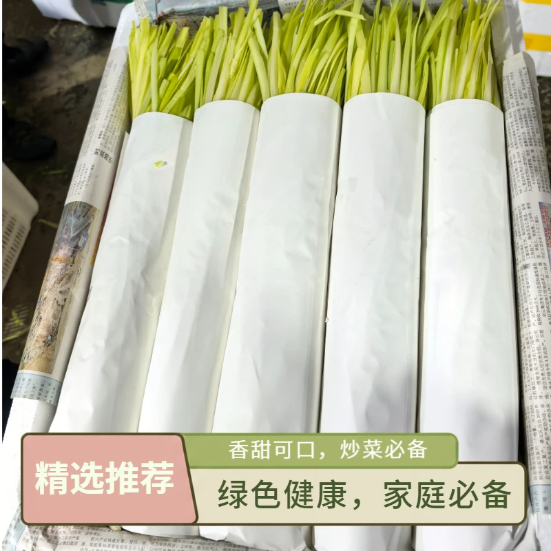 昆明农家自种韭黄新鲜蔬菜基地当季应季时令蔬菜每日现割现发