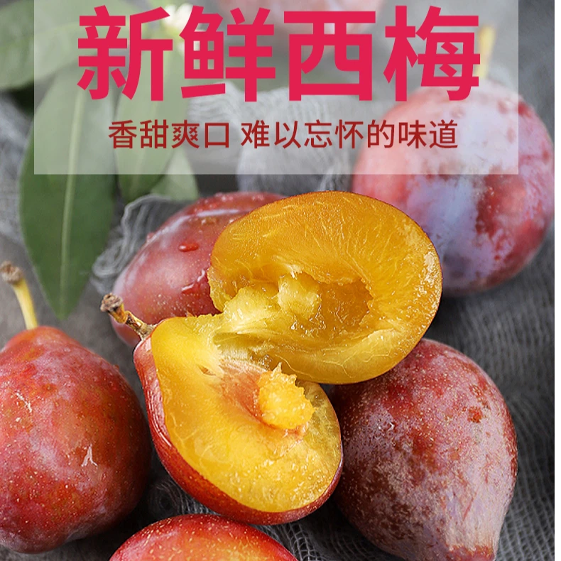 新疆喀什法兰西西梅新鲜饱满多汁香甜可口应季水果