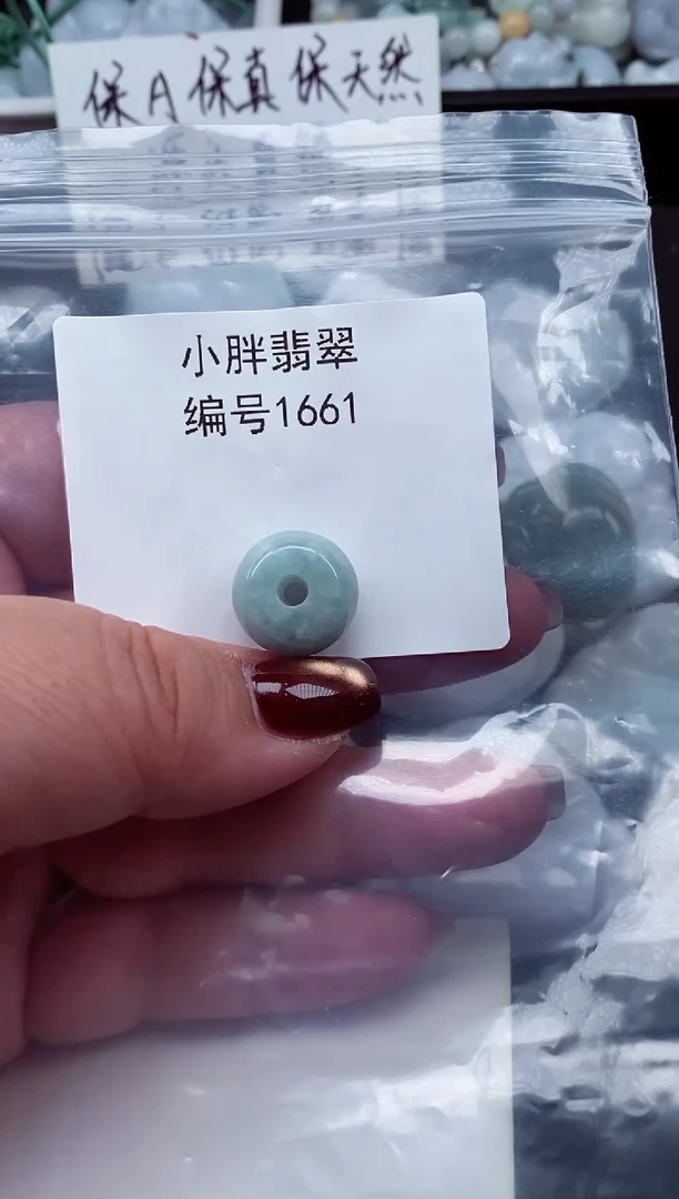 颈饰未镶嵌翡翠缅甸天然A货翡翠1661