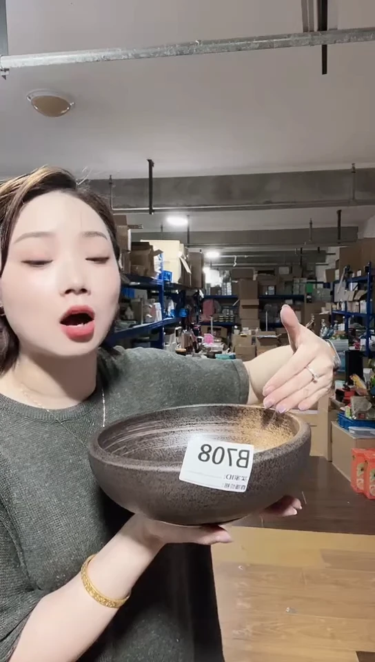 瓷片日本进口瓷器23cm大钵B708（新款