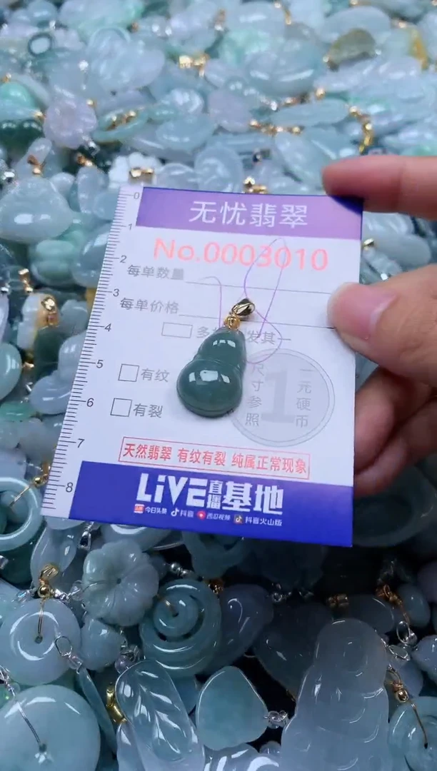 颈饰未镶嵌翡翠3010