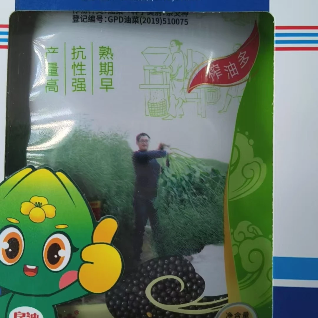 良油88单个油菜籽