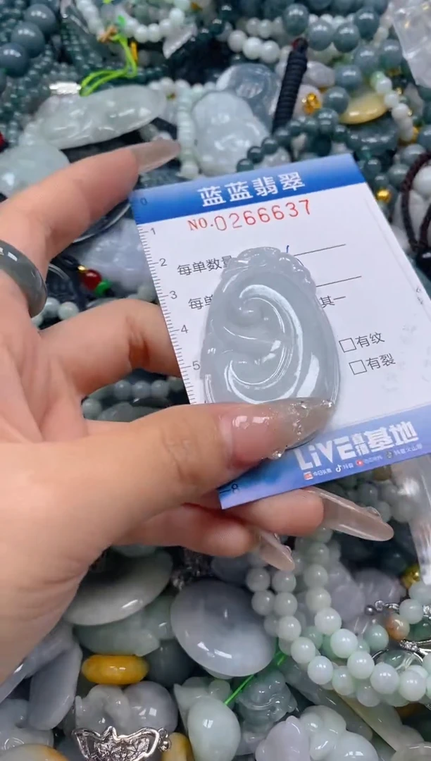 翡翠未镶嵌颈饰闪购0266637