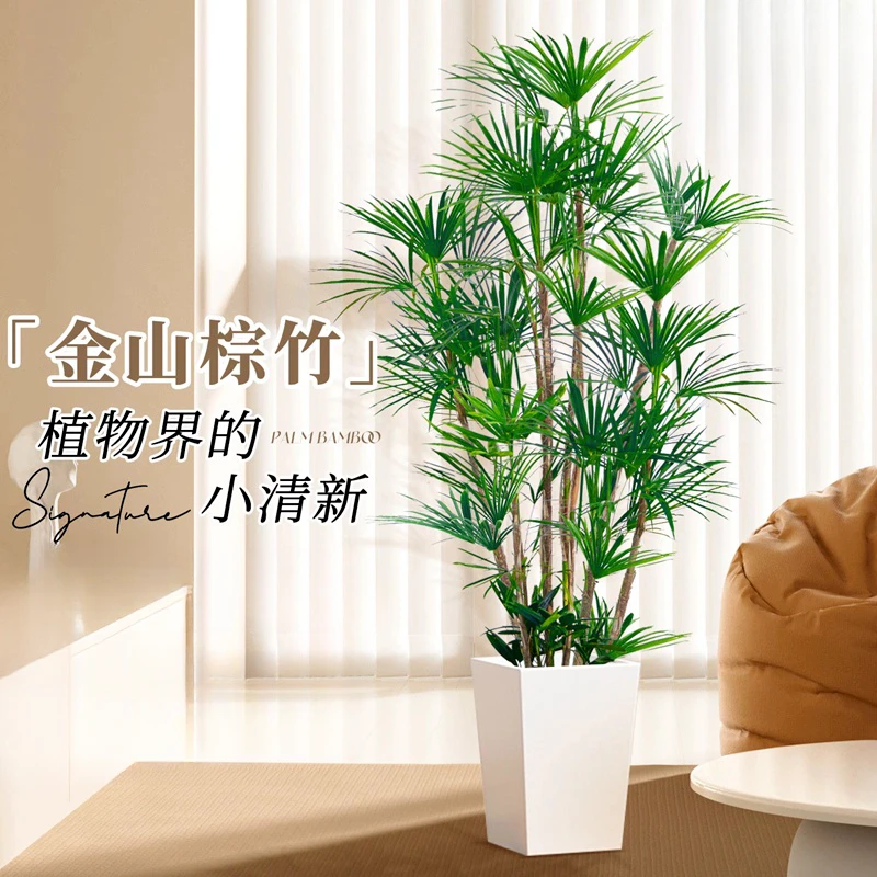 小叶棕竹室内外客厅阳台绿植四季常青落地盆栽花卉大型植物金山棕