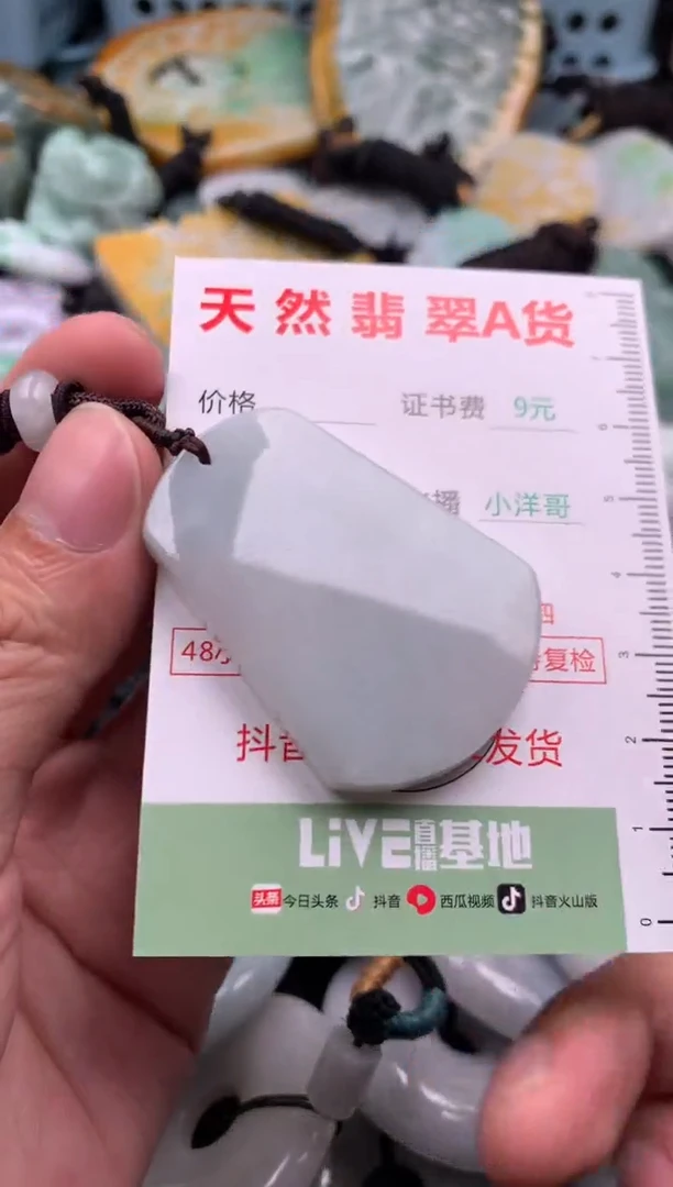 翡翠未镶嵌吊坠(不含链)1