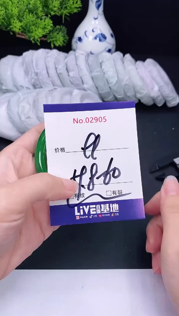 未镶嵌手镯翡翠2905