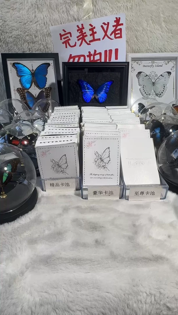 绿带双生10寸相框