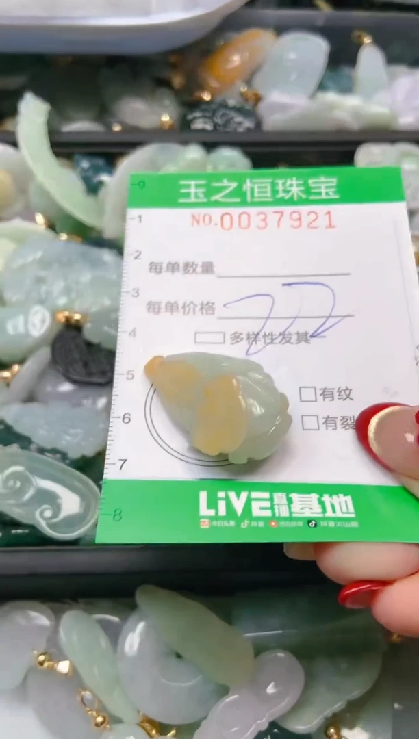 【闪购商品】翡翠颈饰未镶嵌闪购0037921