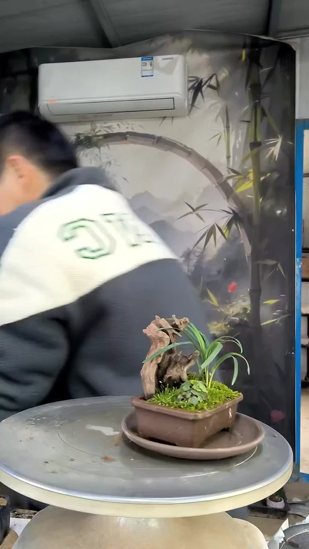 搅****屎中青园艺一物一拍花79