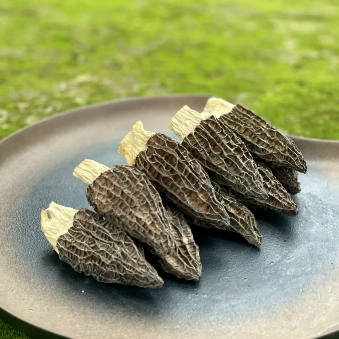 2025年头茬精品羊肚菌干货（ 50g）