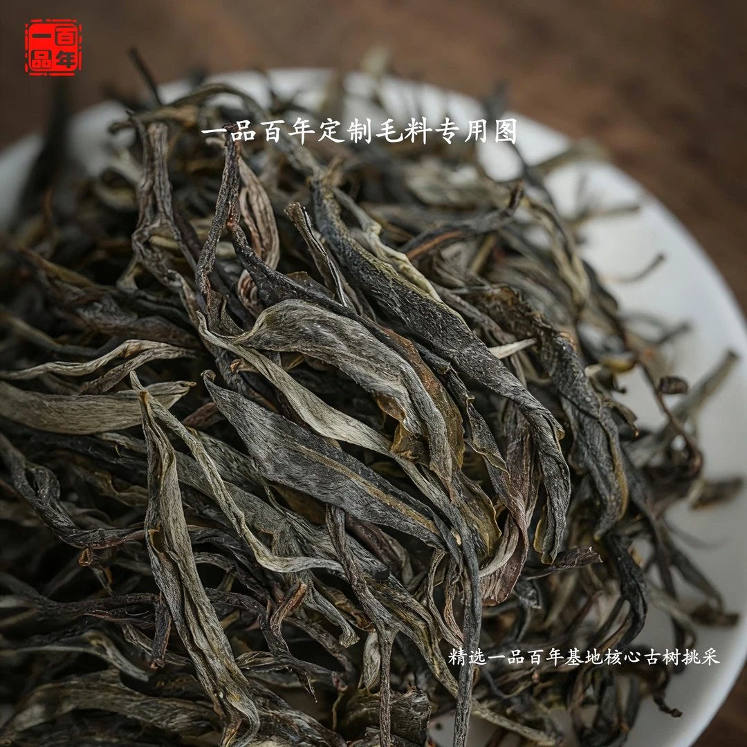 一品百年2025昔归忙麓山纯古树谷花茶纯料普洱生茶