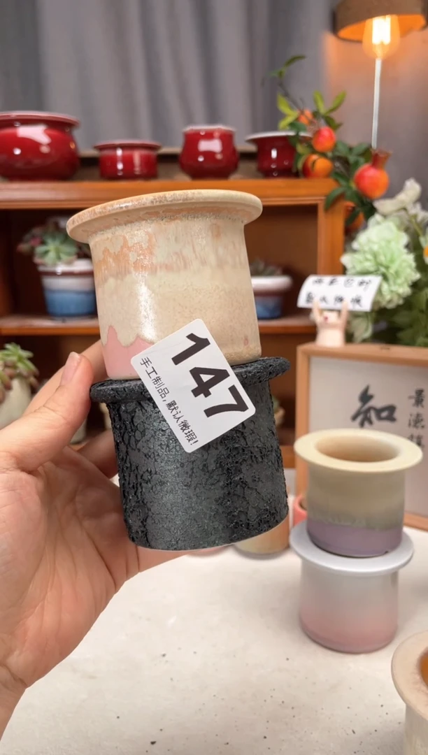 瓷片147知木小芳花盆直播编号