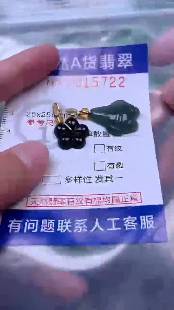 吊坠(赠链)未镶嵌翡翠1