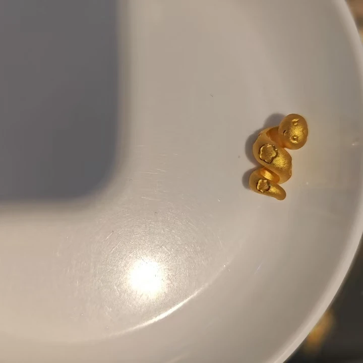 足金999钱币卷卷蛇