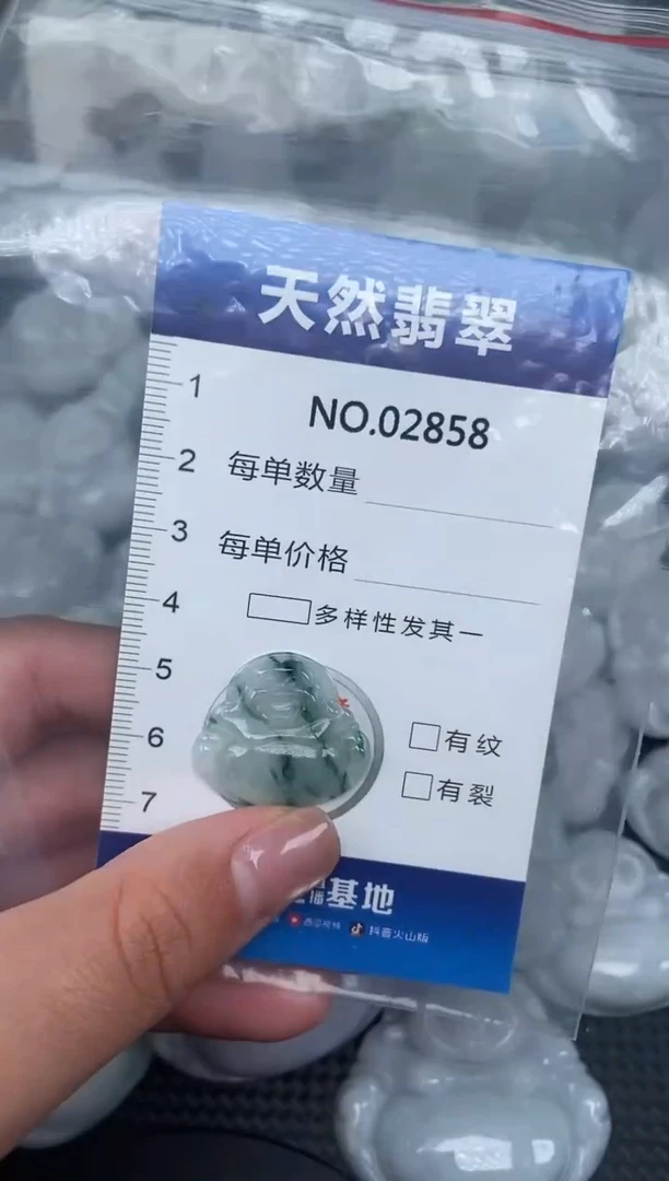 颈饰未镶嵌翡翠纯天然A货翡翠2858